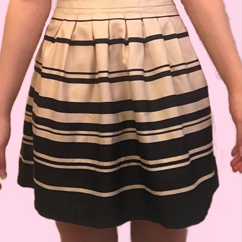 Striped Skirt